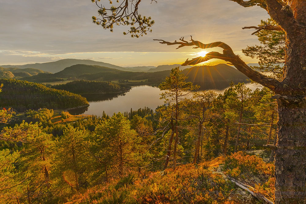 Namsenfjord Panorama3