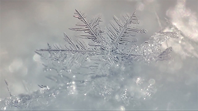 Winter1