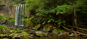 _S0J8661