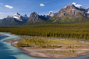 YS0J5582
