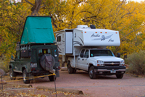 FF7Z8892Arctic-Fox-Zion-NP