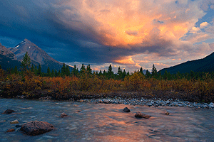 YS0J0583