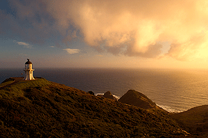 _S0J7945