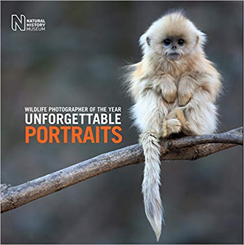 unforgettable_Portraits
